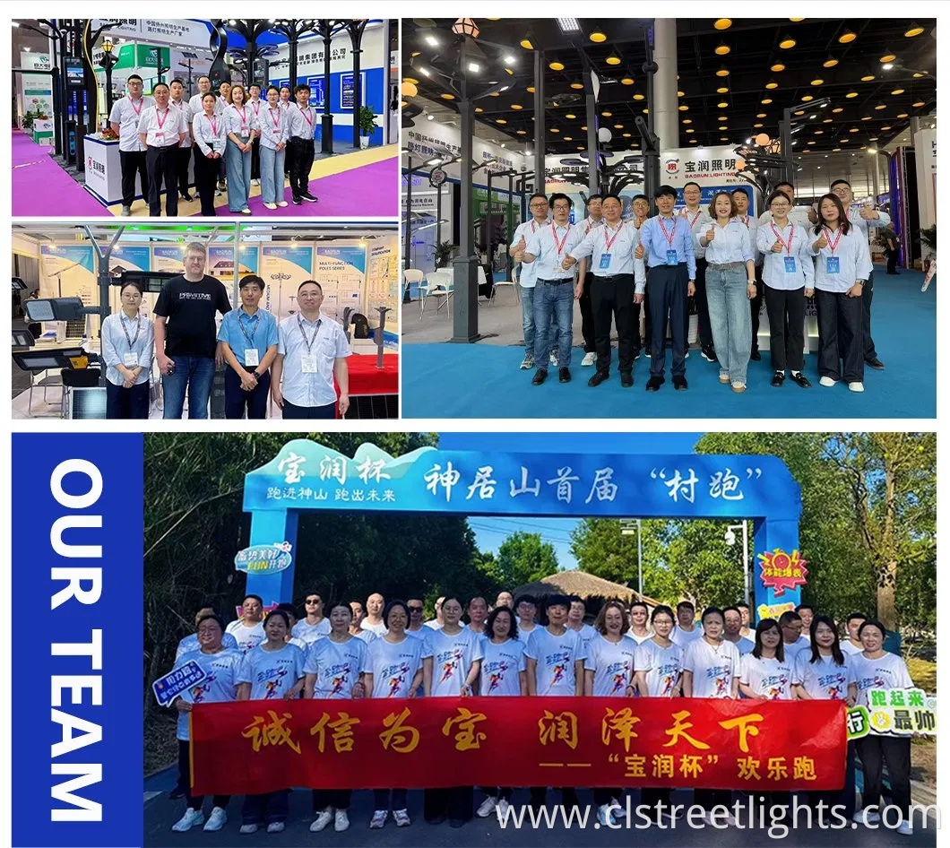 High-Efficiency LED Lamp Solar Panel LiFePO4 Lithium Battery Split Type Solar Street Light